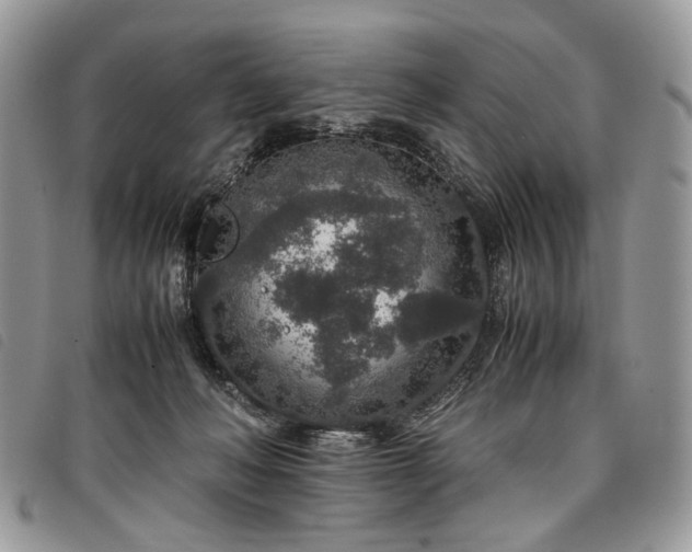 X0000098040222200804071450