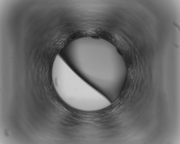 X0000098040223200804071450
