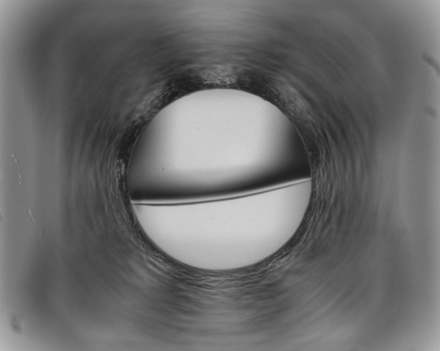 X0000098040229200804071449