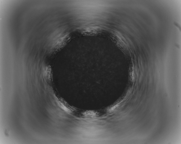 X0000098040231200804071449