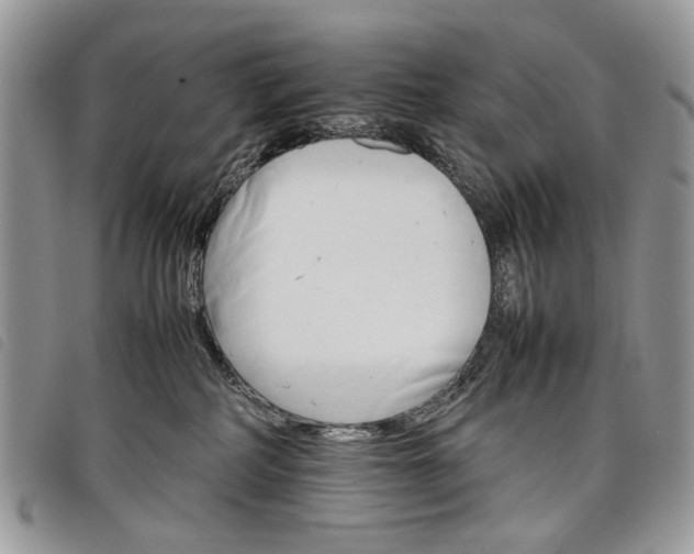 X0000098040234200804071449
