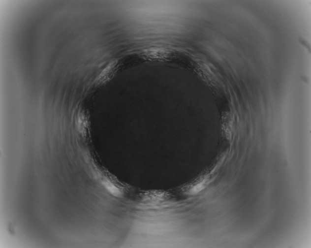 X0000098040235200804071449