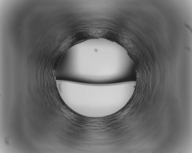 X0000098040237200804071449