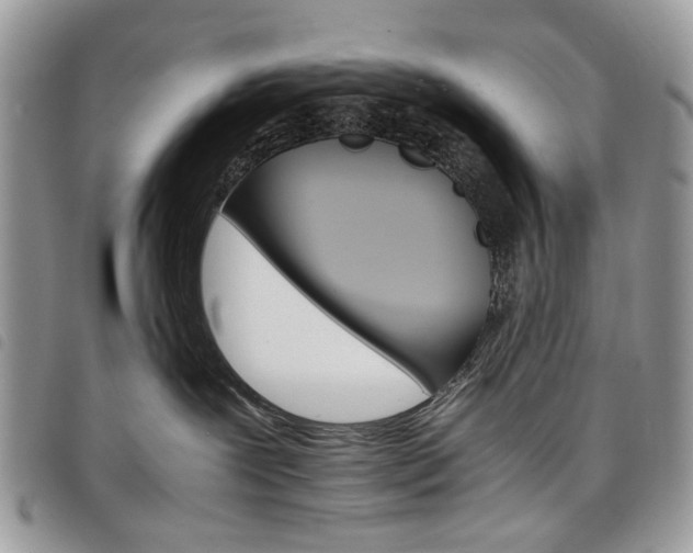 X0000098040239200804071449