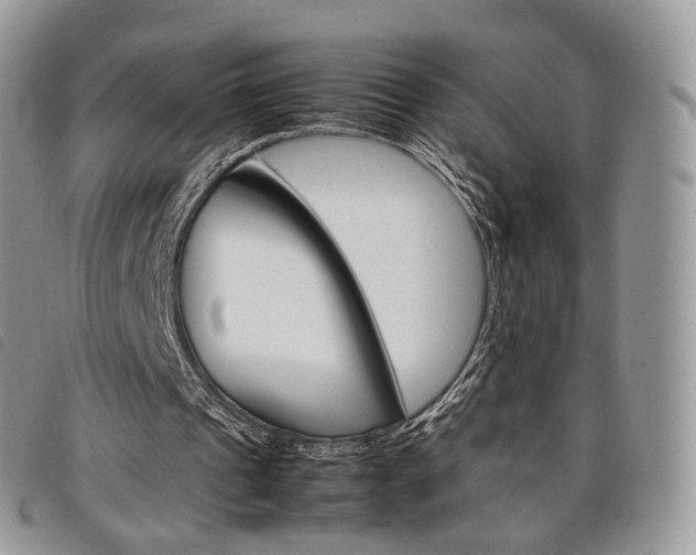 X0000098040241200804071448