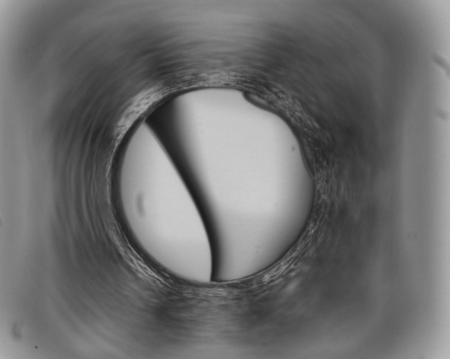 X0000098040242200804071448