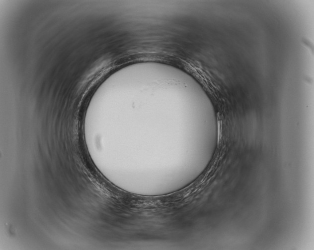 X0000098040243200804071448