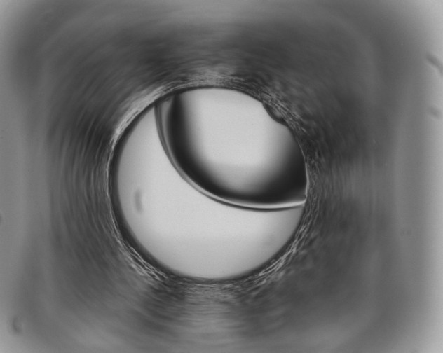X0000098040244200804071448