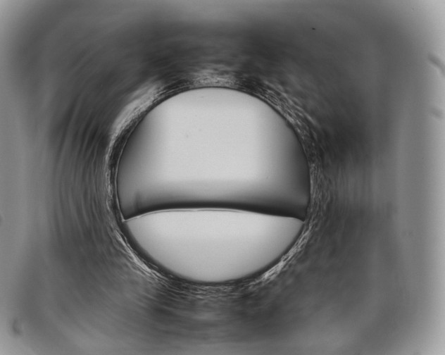 X0000098040245200804071448