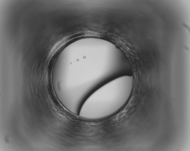 X0000098040247200804071449