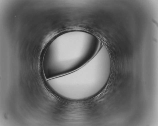 X0000098040248200804071449