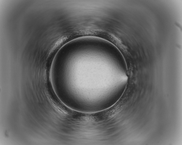 X0000098040250200804071449