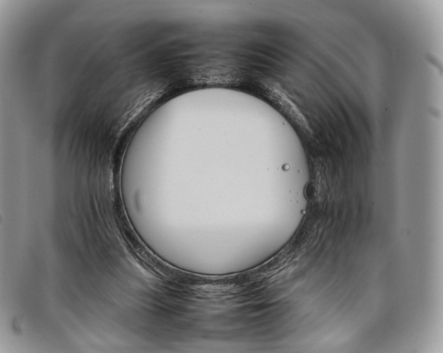 X0000098040251200804071449
