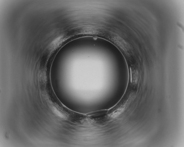 X0000098040252200804071449