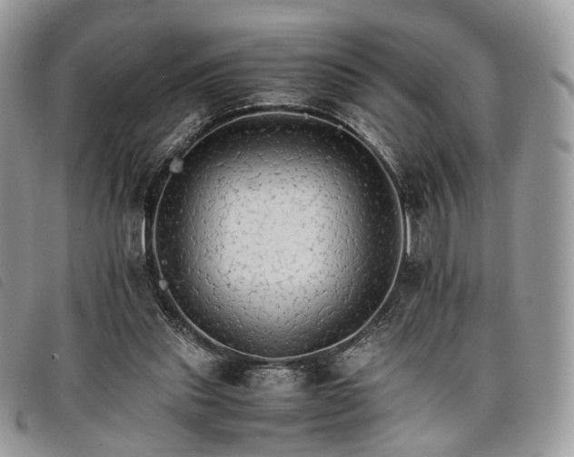 X0000098040253200804071449