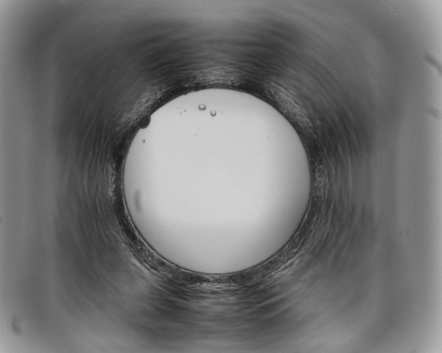 X0000098040255200804071449
