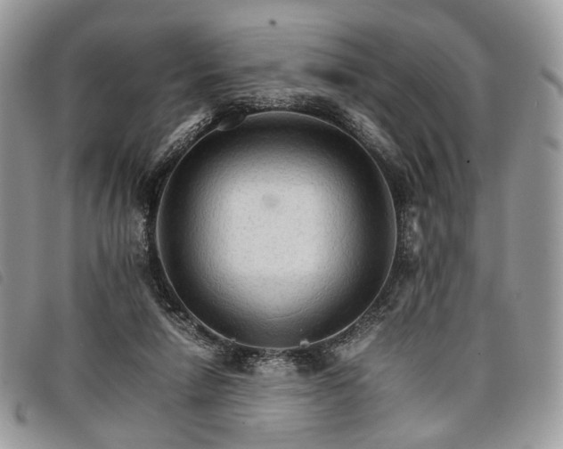 X0000098040258200804071449