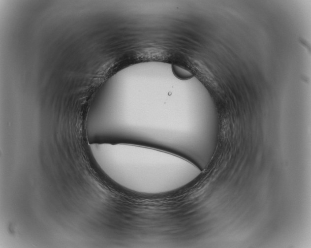 X0000098040259200804071449