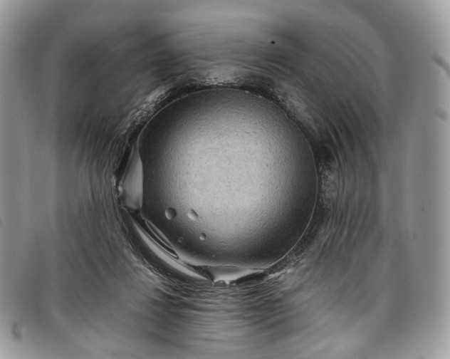 X0000098040260200804071449