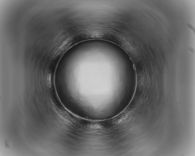 X0000098040262200804071449