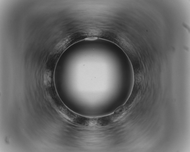 X0000098040264200804071449