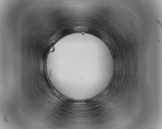 X0000098040266200804071449