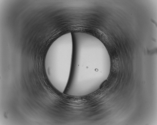 X0000098040267200804071449