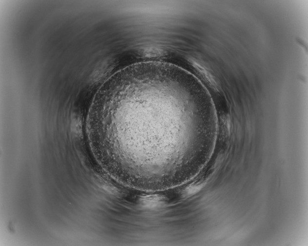 X0000098040269200804071449