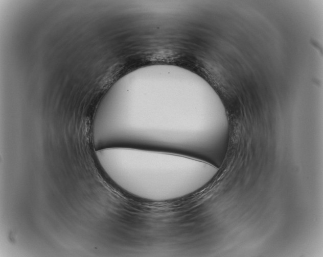 X0000098040273200804071449