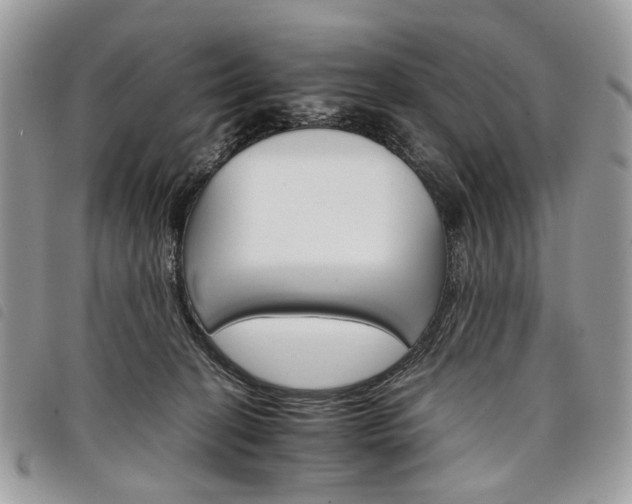 X0000098040274200804071449