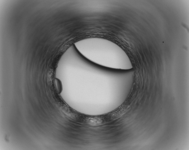 X0000098040275200804071449