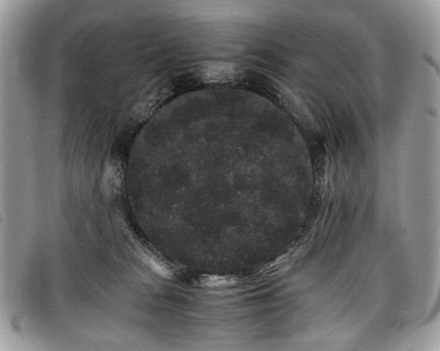 X0000098040277200804071449