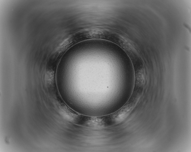 X0000098040278200804071449