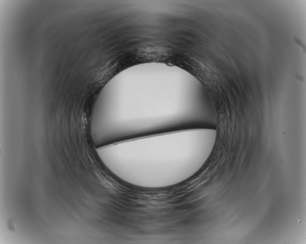 X0000098040279200804071449