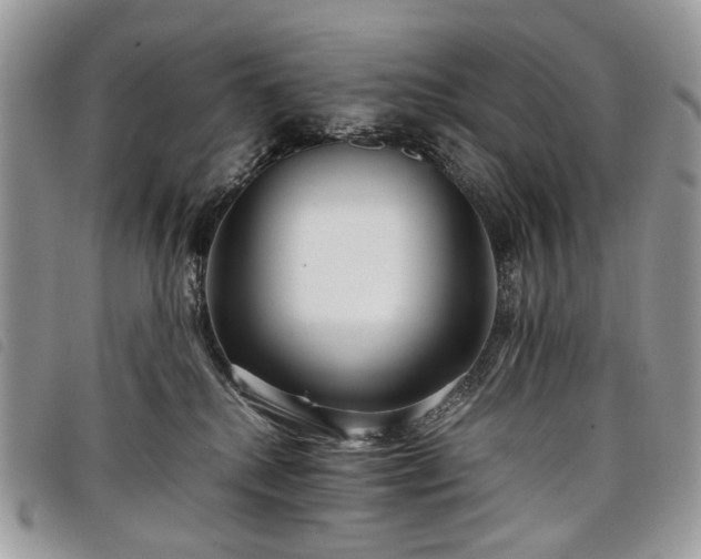 X0000098040280200804071449