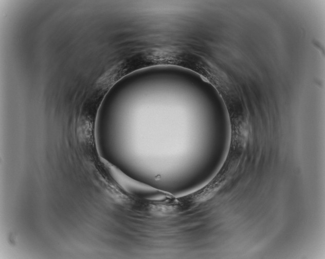 X0000098040281200804071449