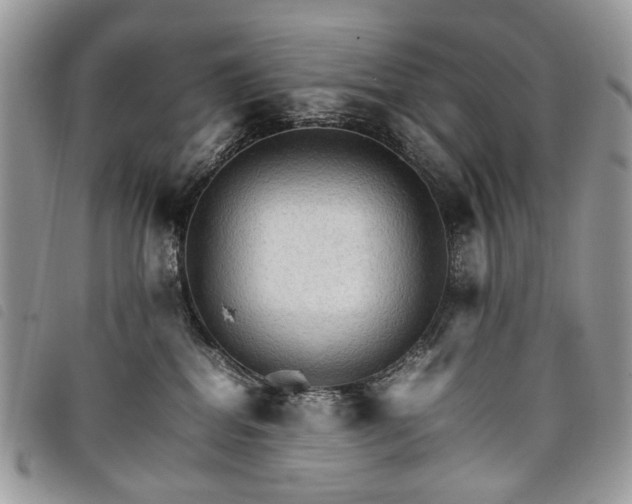 X0000098040282200804071449