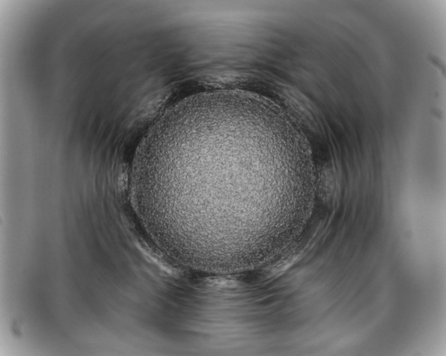 X0000098040284200804071449