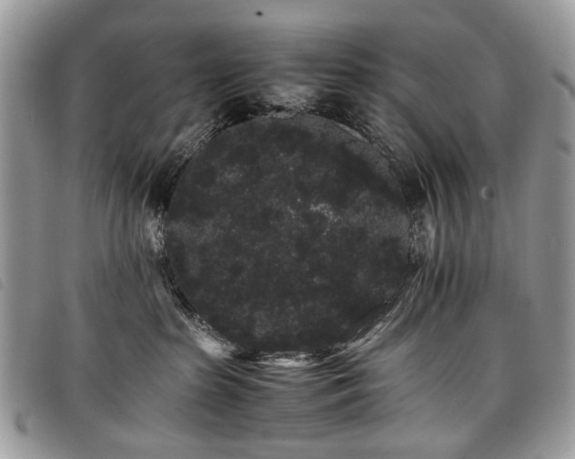X0000098040285200804071449