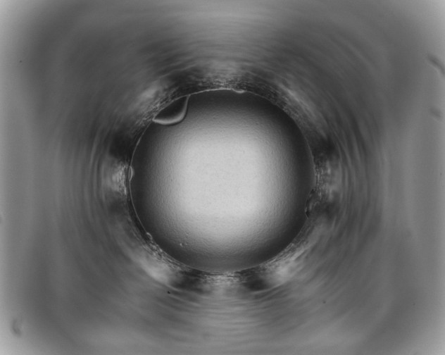 X0000098040286200804071449