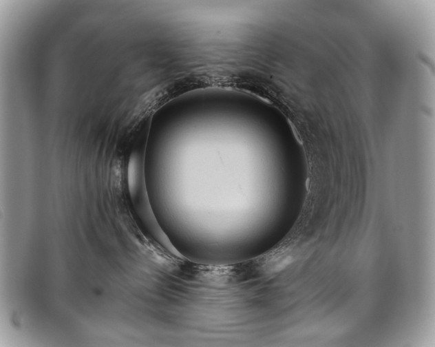 X0000098040288200804071449