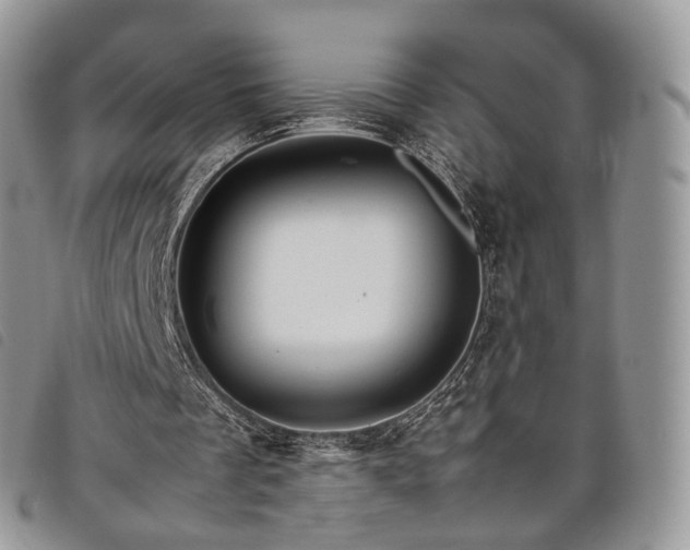X0000098040289200804071448