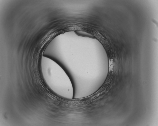 X0000098040291200804071448
