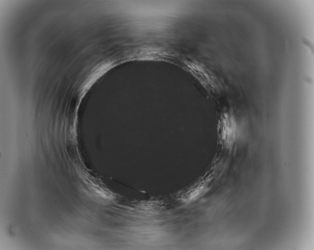 X0000098040292200804071448