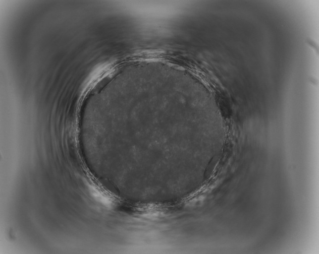 X0000098040293200804071448