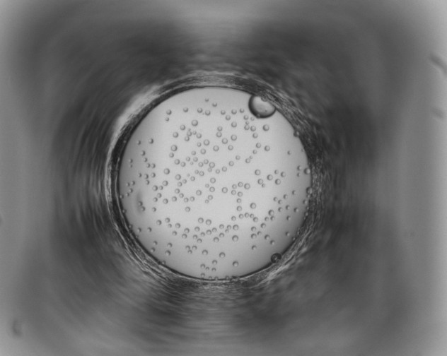 X0000098040294200804071448