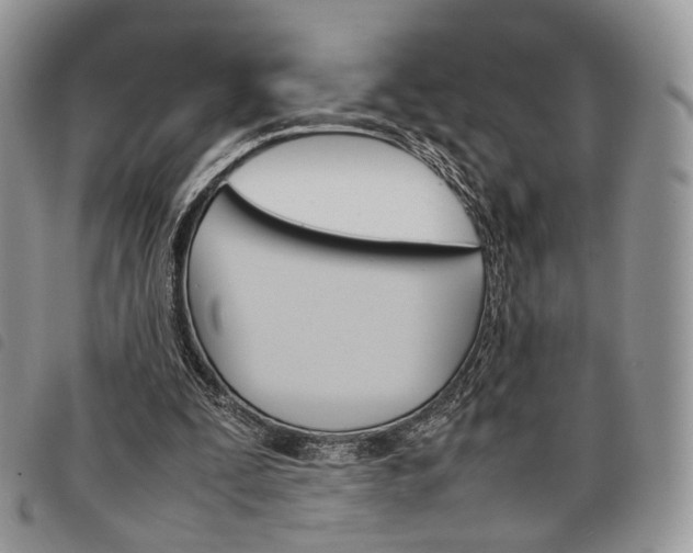 X0000098040295200804071448