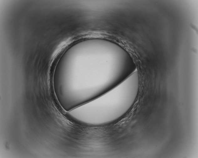 X0000098040296200804071448