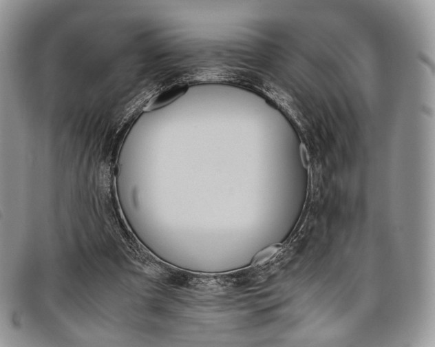 X0000098040297200804071448