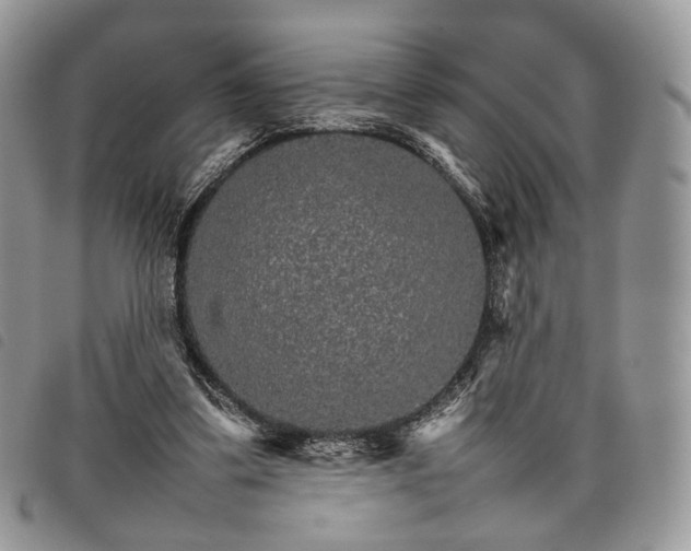 X0000098040299200804071448
